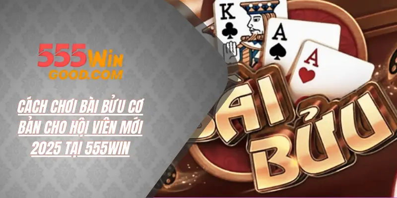 Cách Chơi Bài Bửu Cơ Bản Cho Hội Viên Mới Hiện Nay 2025
