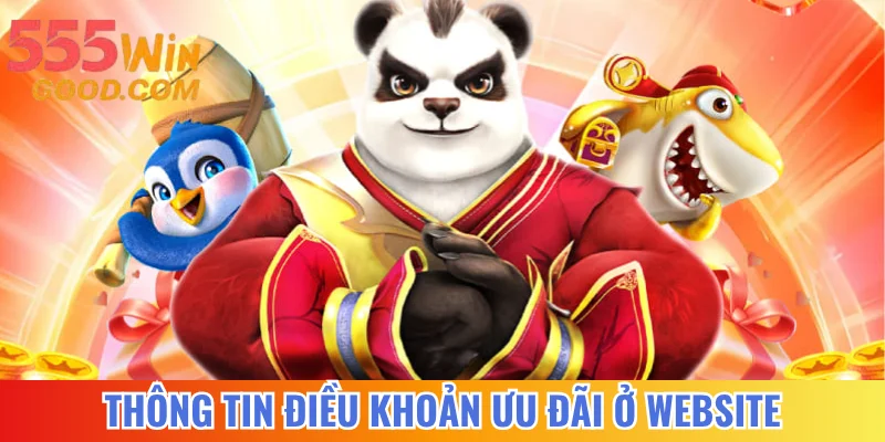 Thông tin điều khoản ưu đãi ở website